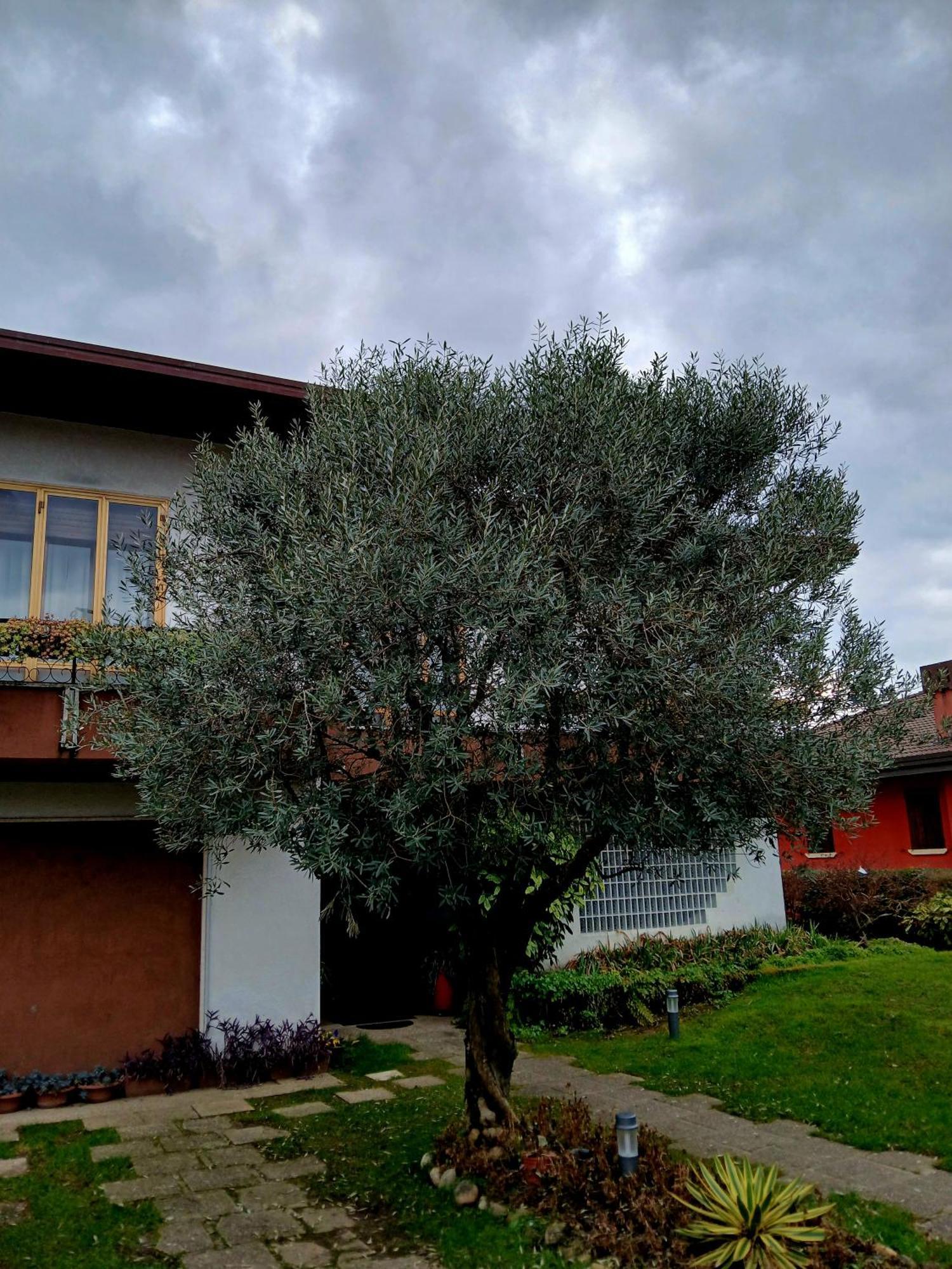 Caldogno B&B Ponte Marchese מראה חיצוני תמונה